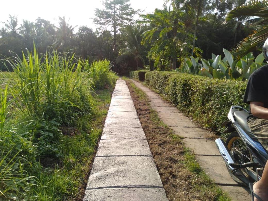 Balian Bliss Retreat Resort - Adults Only Exterior photo