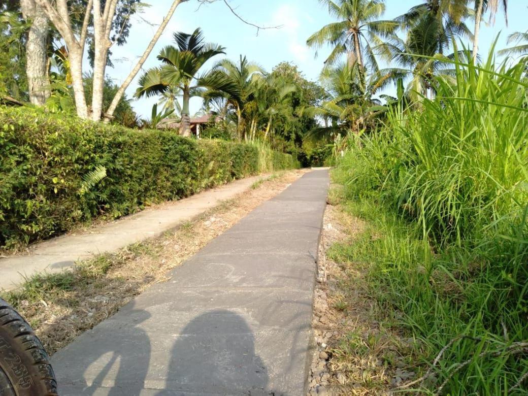 Balian Bliss Retreat Resort - Adults Only Exterior photo